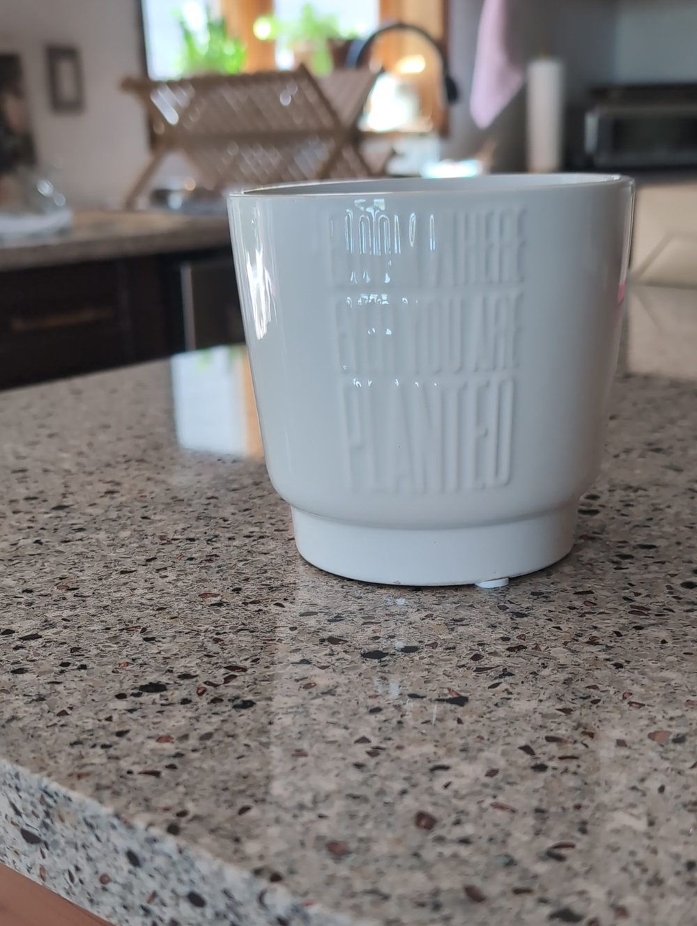 White Ceramic Planter Pot with Embossed Text